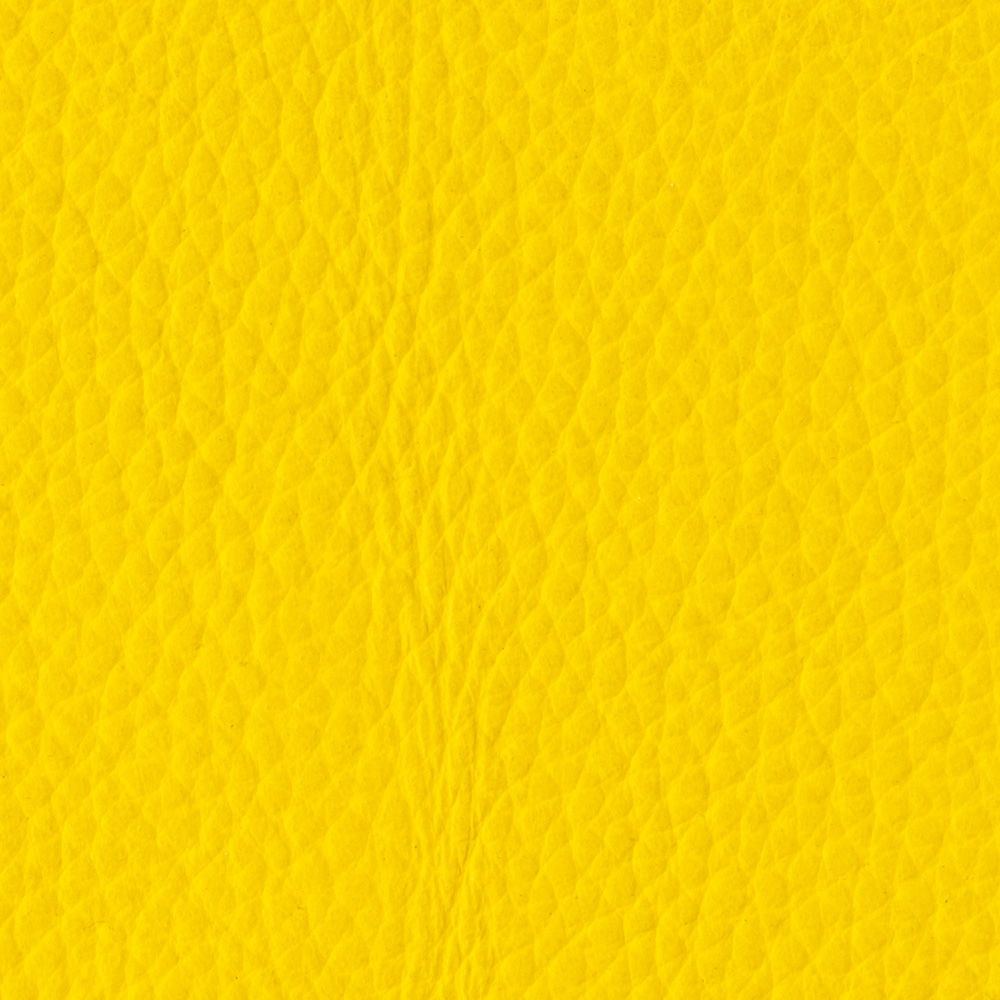 normal-yellow-01 normal-yellow-01
