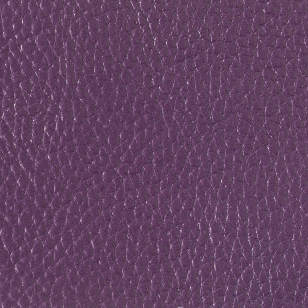 purple-01 purple-01
