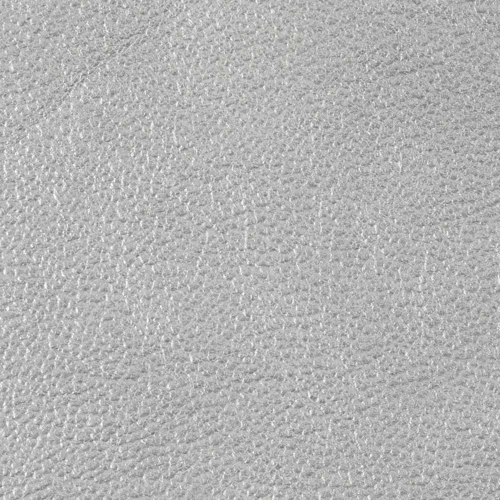 silver-01 silver-01