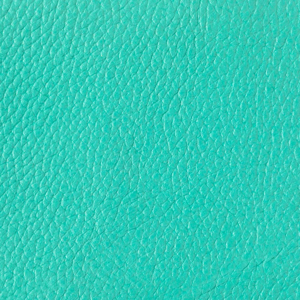 teal-01 teal-01
