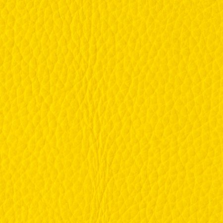 normal-yellow-01
