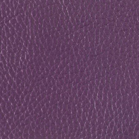 purple-01